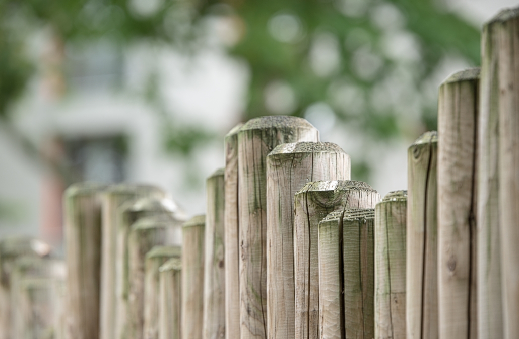 schutting in de tuin