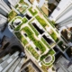 groen wonen