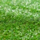 kunstgras